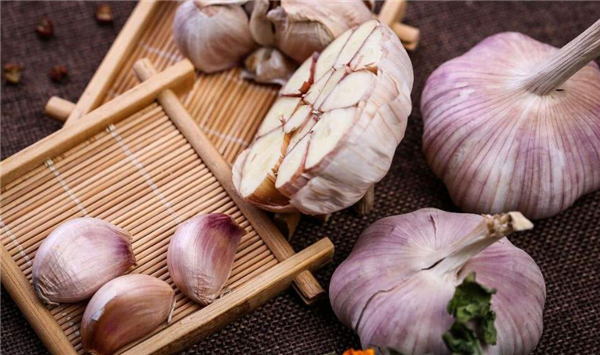 大蒜能長出新蒜可以吃嗎