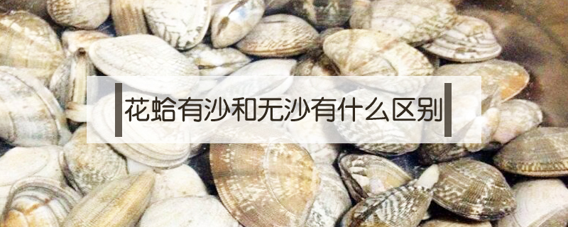 花蛤有沙和無沙有什么區(qū)別