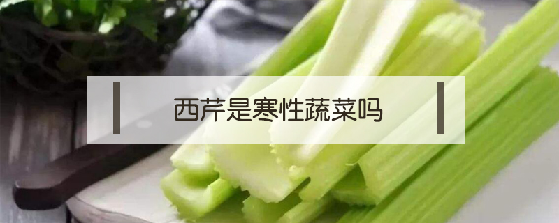 西芹是寒性蔬菜嗎