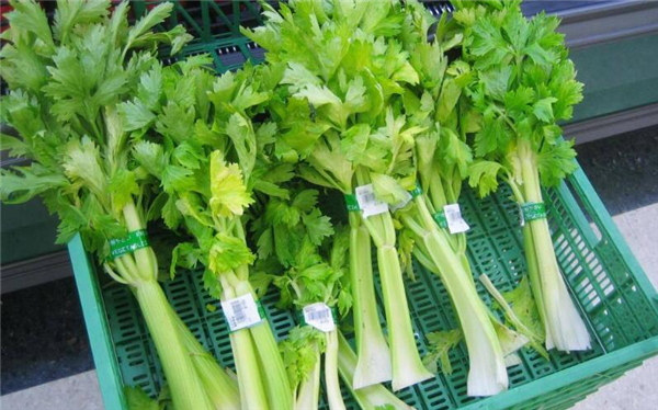 西芹和芹菜的區(qū)別