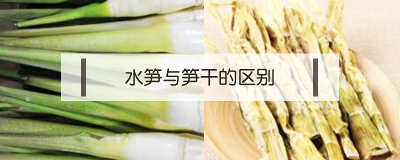 水筍與筍干的區(qū)別
