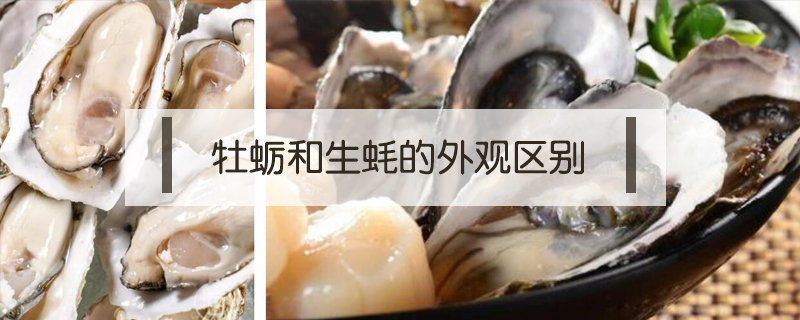 牡蠣和生蠔的外觀區別