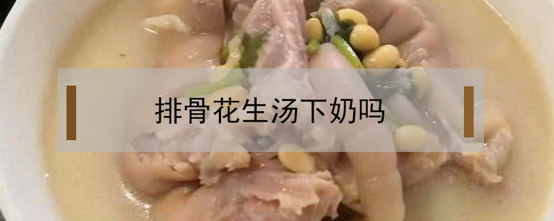 排骨花生湯下奶嗎