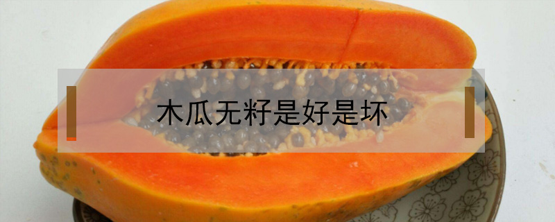 木瓜無(wú)籽是好是壞