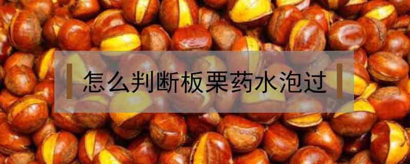 怎么判斷板栗藥水泡過
