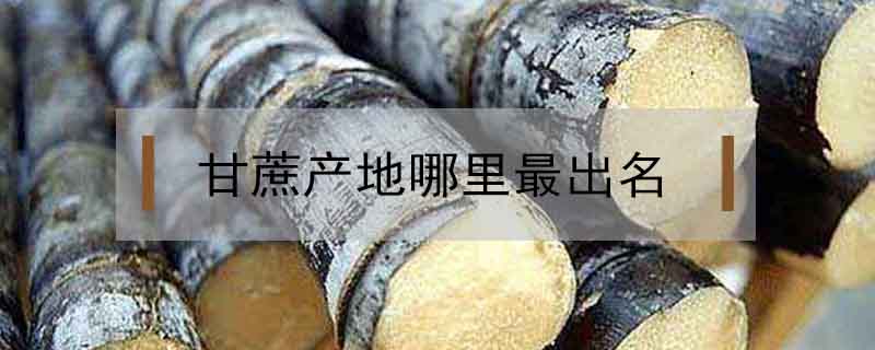 甘蔗產(chǎn)地哪里最出名