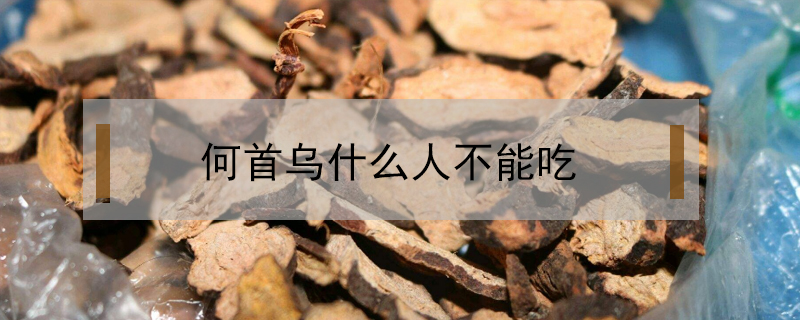 何首烏什么人不能吃