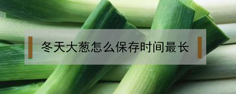 冬天大蔥怎么保存時間最長