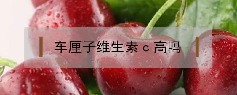 車?yán)遄泳S生素c高嗎