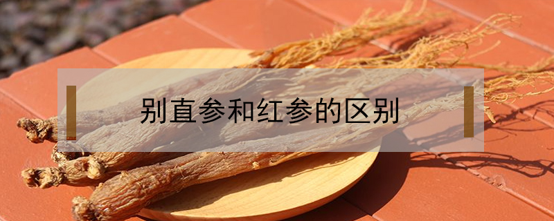 別直參和紅參的區別
