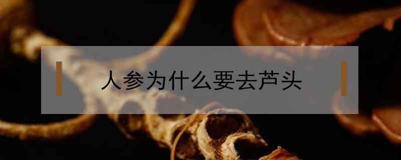 人參為什么要去蘆頭