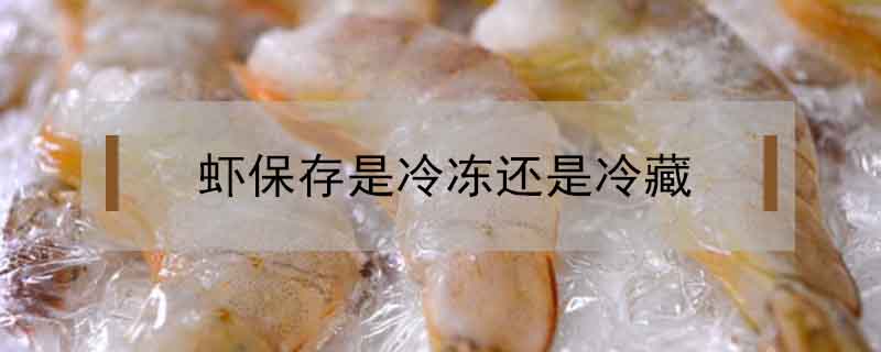 蝦保存是冷凍還是冷藏