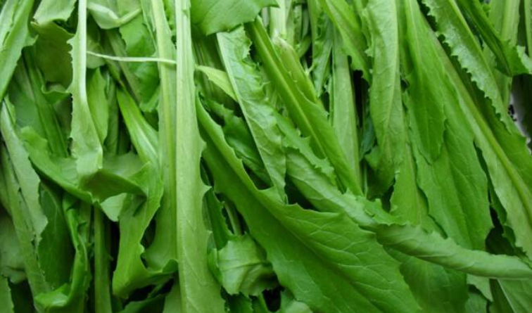春分吃什么美食，春分節氣養生吃什么菜?