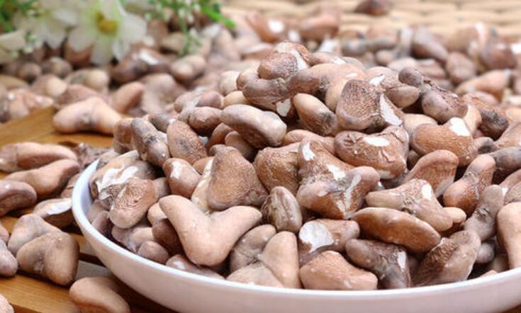 干菱角米怎么泡發