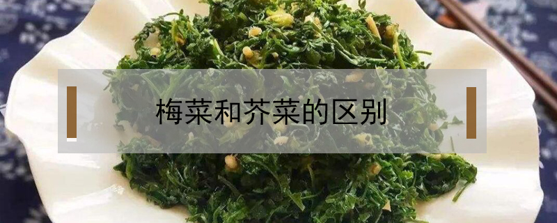 梅菜和芥菜的區(qū)別