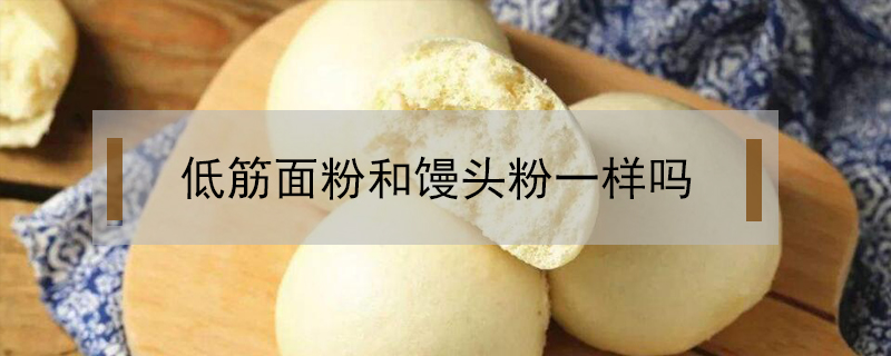 油橄欖和橄欖的區(qū)別