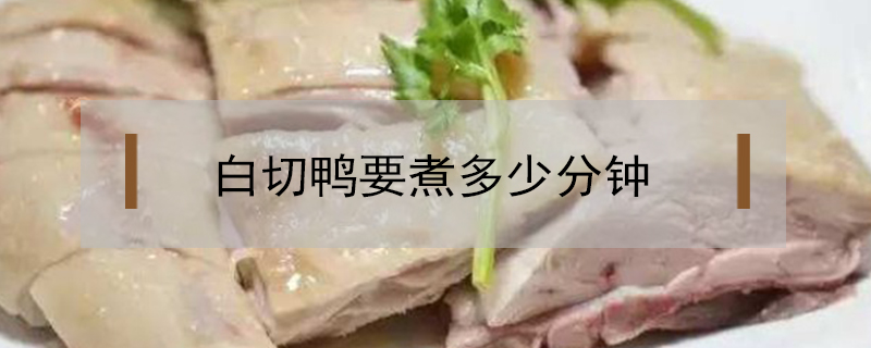 白切鴨要煮多少分鐘