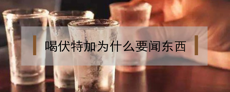 喝伏特加為什么要聞東西