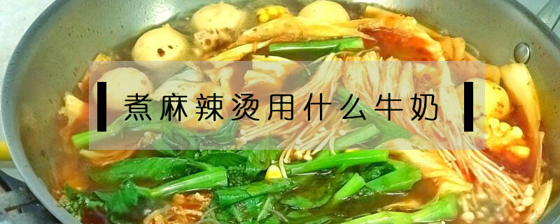 煮麻辣燙用什么牛奶