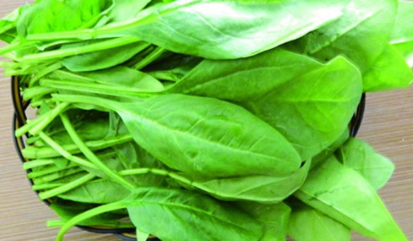 菠菜為什么會(huì)澀嘴