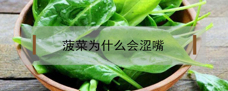 菠菜為什么會(huì)澀嘴