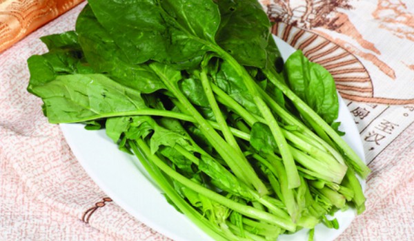 菠菜為什么會苦