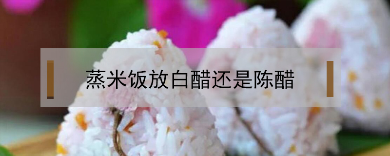 蒸米飯放白醋還是陳醋