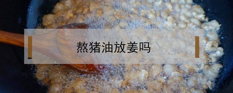 熬豬油放姜嗎