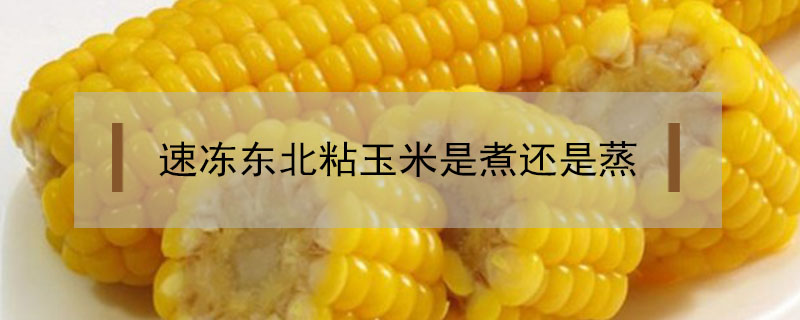 速凍東北粘玉米是煮還是蒸