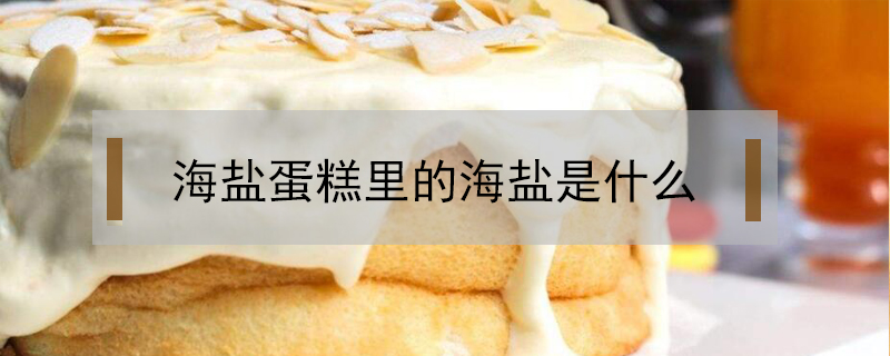 海鹽蛋糕里的海鹽是什么