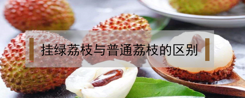掛綠荔枝與普通荔枝的區(qū)別