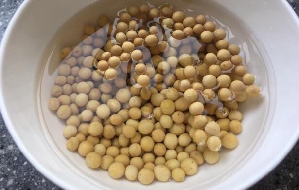 榨汁機可以榨豆漿嗎