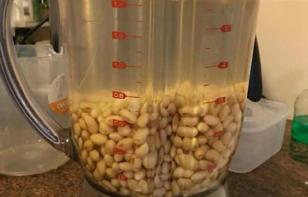 榨汁機可以榨豆漿嗎
