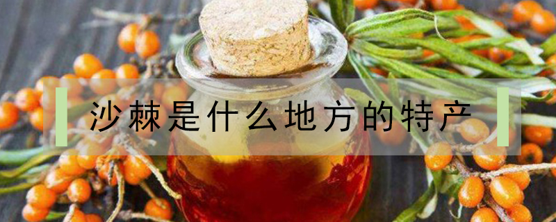 沙棘是什么地方的特產