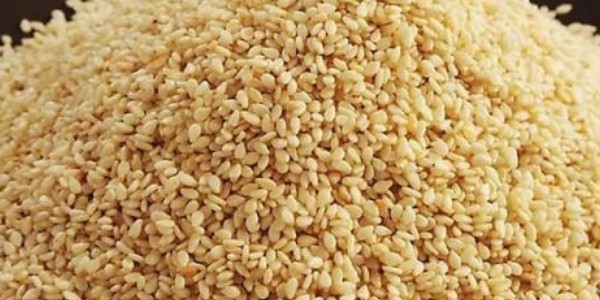 幾斤芝麻出一斤香油