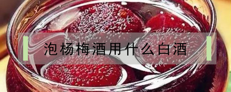 泡楊梅酒用什么白酒