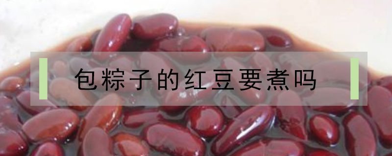 包粽子的紅豆要煮嗎