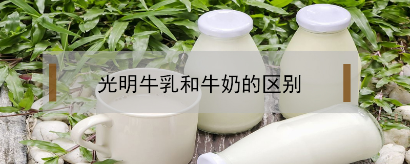 光明牛乳和牛奶的區別