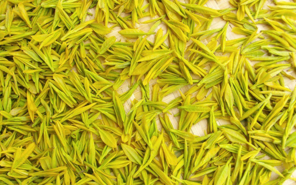 綠茶屬于發酵茶嗎