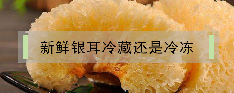 新鮮銀耳冷藏還是冷凍