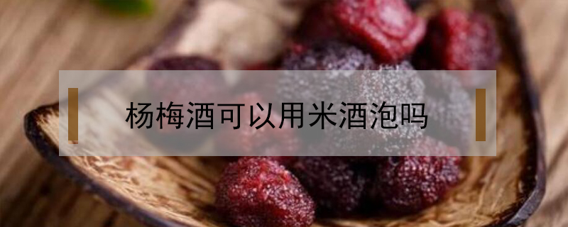 楊梅酒可以用米酒泡嗎