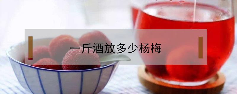 一斤酒放多少楊梅