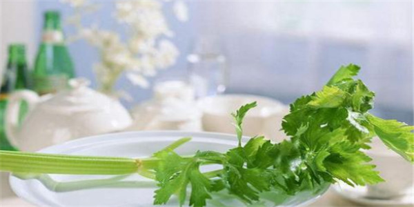芹菜榨汁是用生的還是熟的