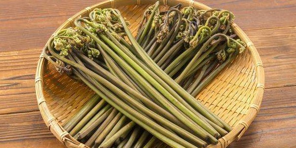 蕨菜怎么腌制不會(huì)爛