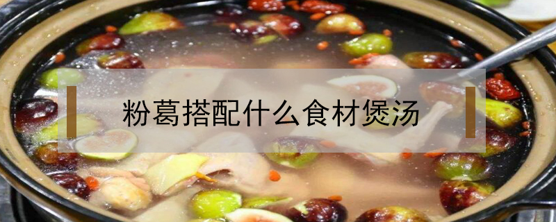 粉葛搭配什么食材煲湯