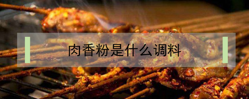 肉香粉是什么調(diào)料