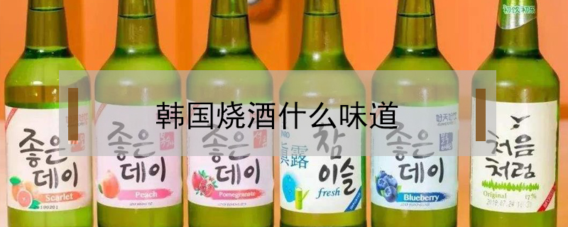 韓國燒酒什么味道