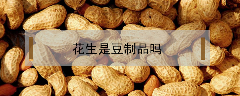 花生是豆制品嗎