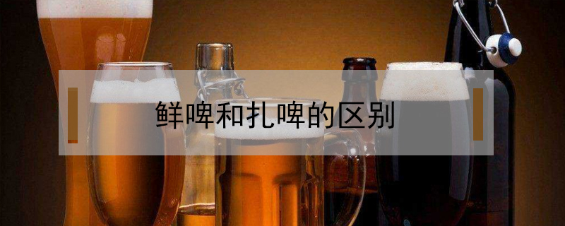 鮮啤和扎啤的區(qū)別