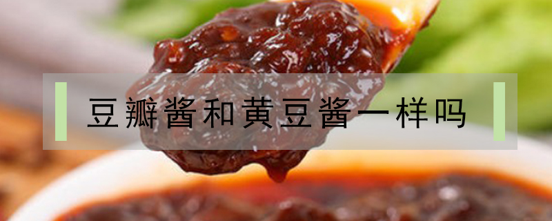 豆瓣醬和黃豆醬一樣嗎